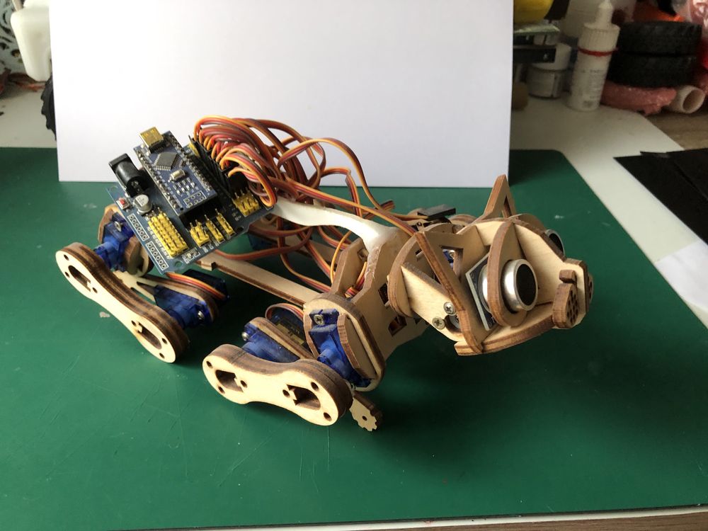 Robot Arduino Cat