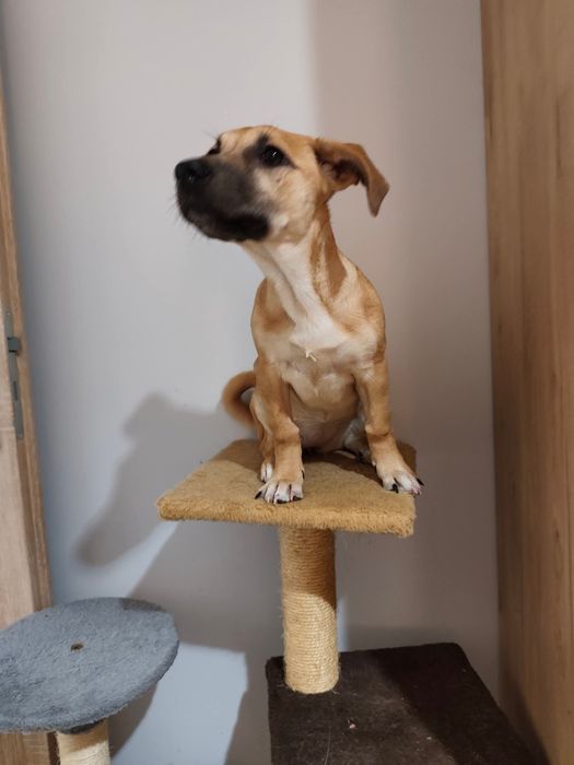 Kalinka wyrzucona pod budynek DPSu