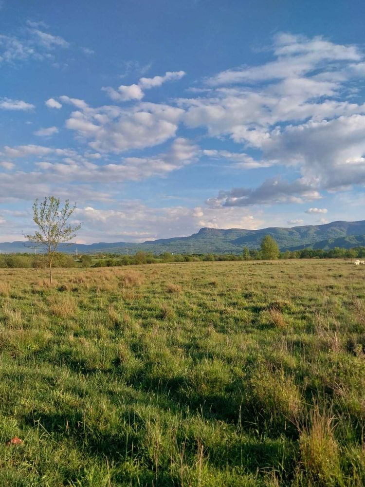 Земельна ділянка