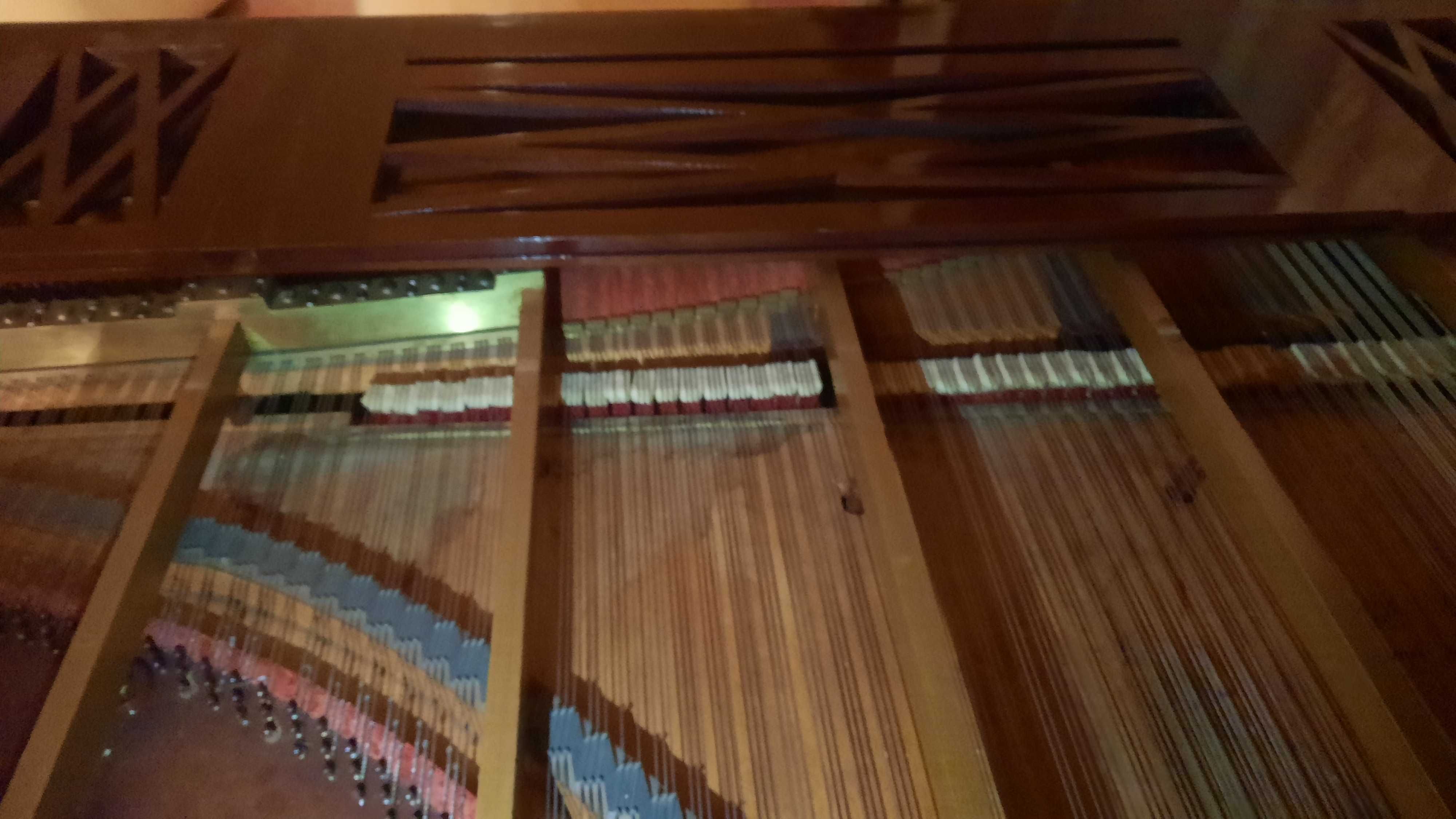 Extraordinário Piano  1/2 cauda  -  ÉRARD  de 1865