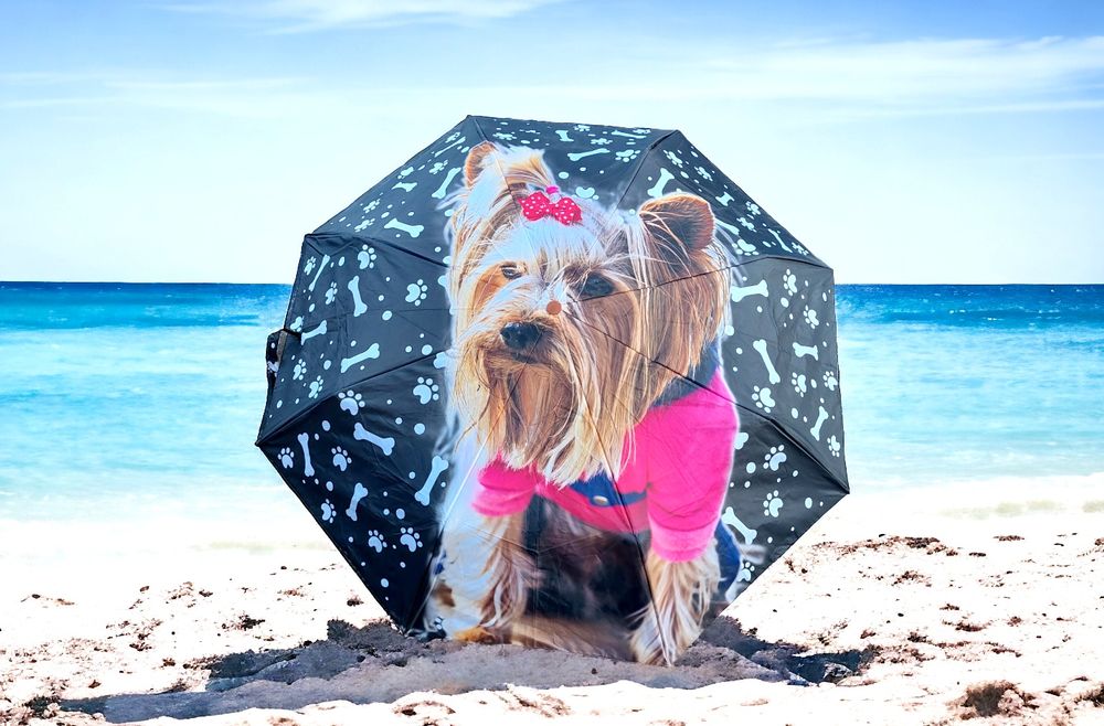 Parasolki ręczne wzór pieski i kotki