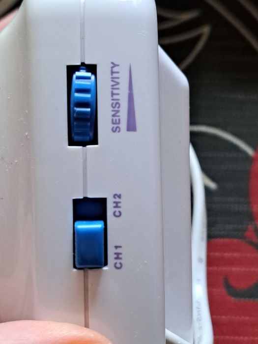 Elektroniczna niania