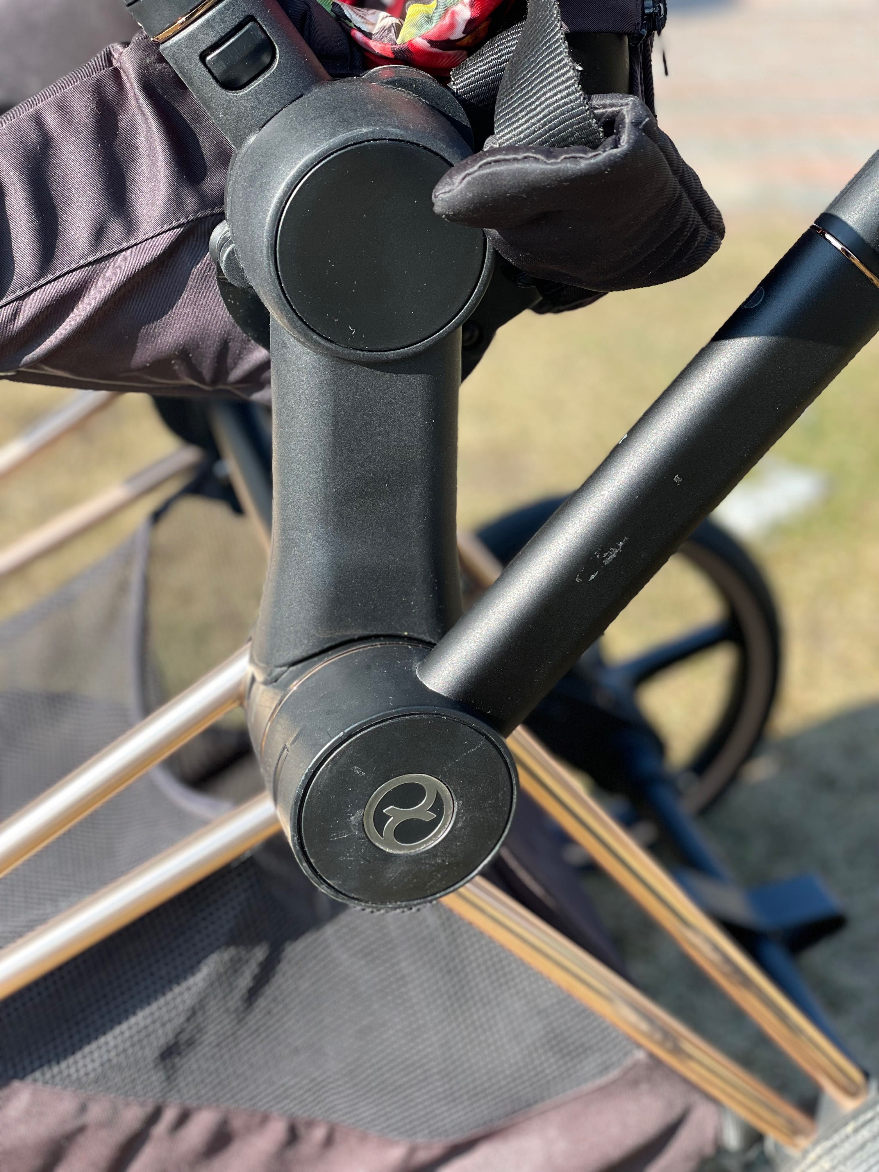 Cybex Priam 2.0 Spring blossom dark
