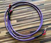 Melodika kabel głośnikowy wtyki Purple Rain MDC2250 2x1.5m