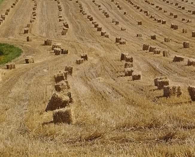 Sprzedam słomę w kostkach