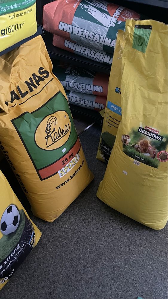 Trawa KALNAS nasiona na trawniki/ trawa nasiona/ mieszanki trawy TANIO