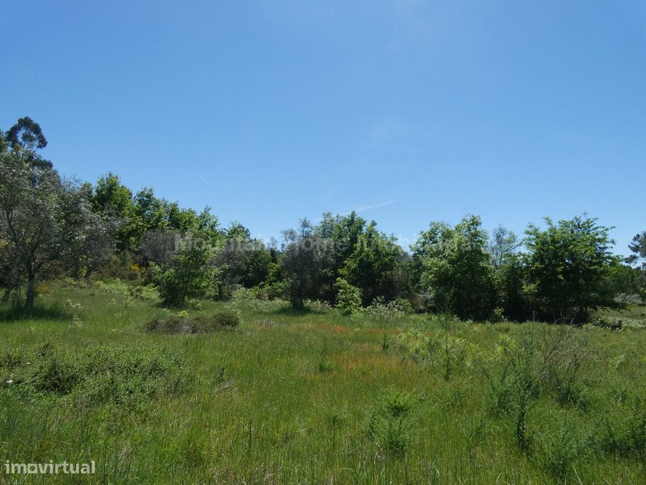 Terreno  Venda em Santiago,Seia