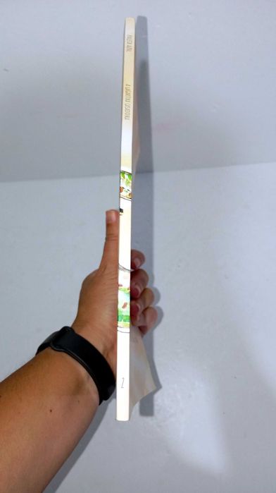 A Lagartixa casadoira