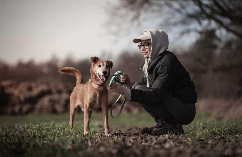 Winnie - zawsze uśmiechnięty cudowny psiak ADOPCJA