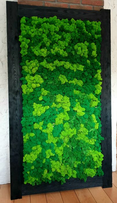 Ekskluzywny obraz z mchu , mech chrobotek reniferowy .Wymiar 140x70cm