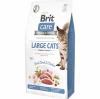 Корм для котів Brit care