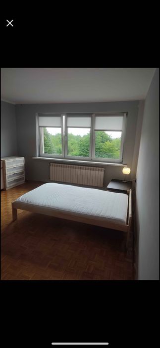 Pokój do wynajęcia Leszno ul. Reja