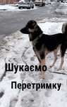 Шукаю перетримку для песика