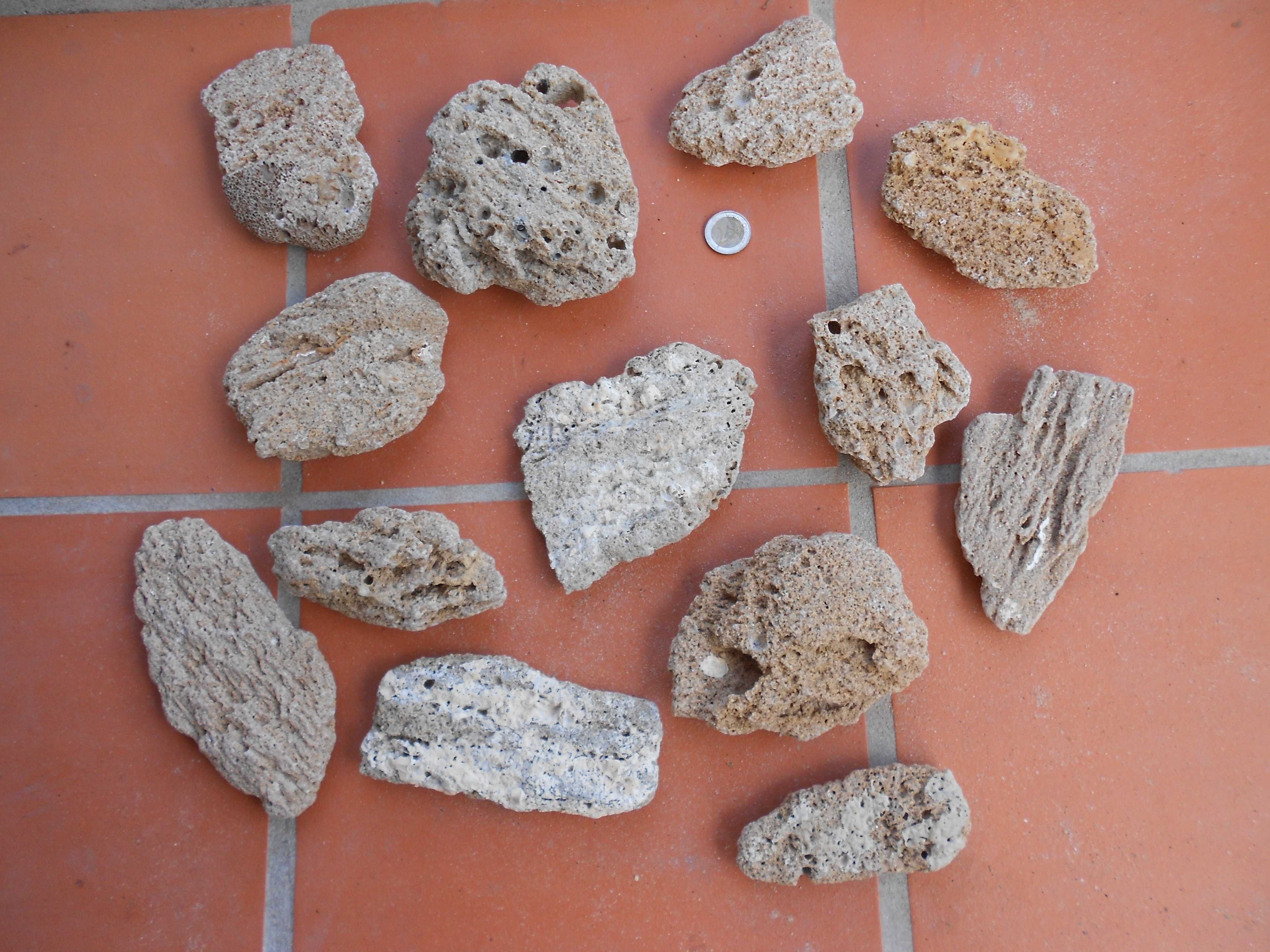 Pedras rochas diversas formas aquario terrario tartarugas etc