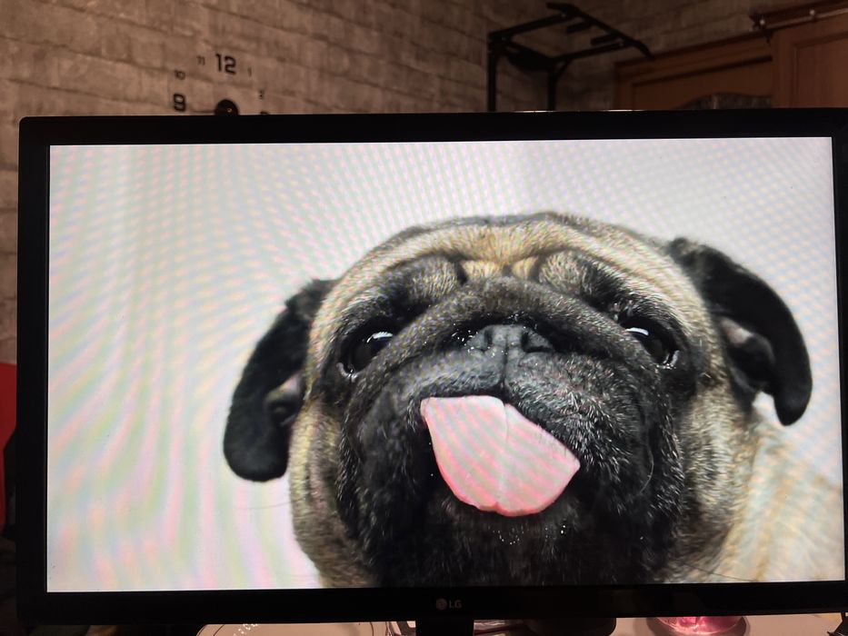 Монітор LG 22MP58