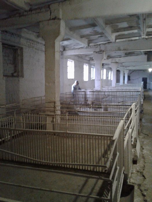 Продам отдельностоящую животноводческую ферму в Криворожском районе