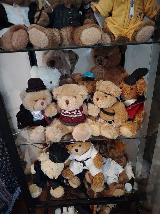 Coleção de ursos peluche