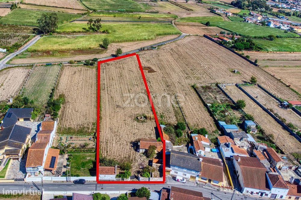 Dois Lotes em Avanca – 4.152 m² com Alvará de Loteamento