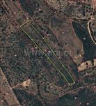 Vende se Terreno rústico de 15.000 m2 a 10 min da praia da luz