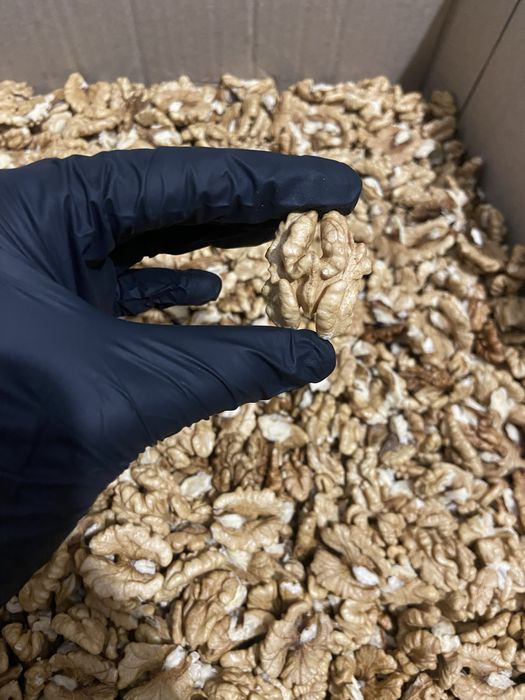 Горіх волоський ( грецький)