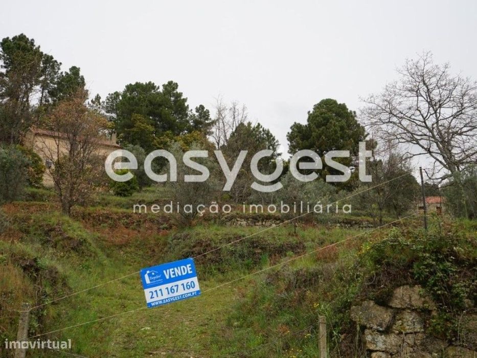 Quintinha com aproximadamente 4000 m2 em Gonçalo, Guarda