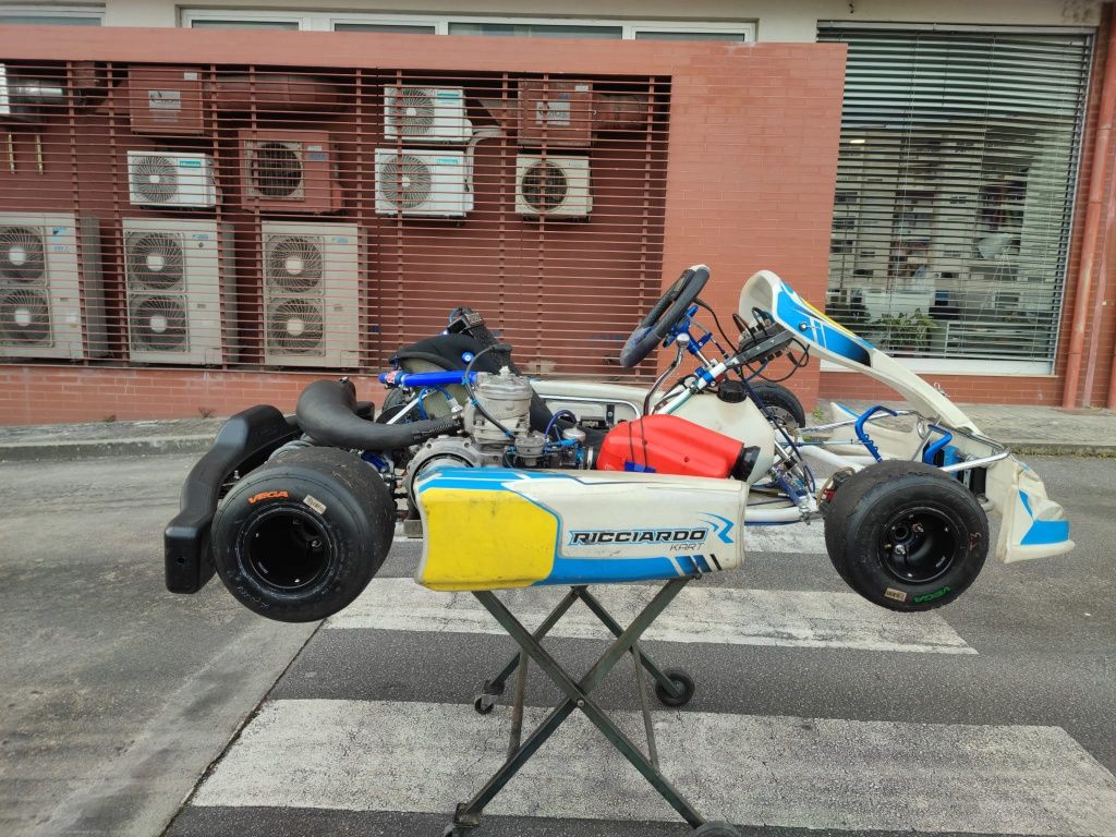 Kart riccardo | X30 shifter 125cc