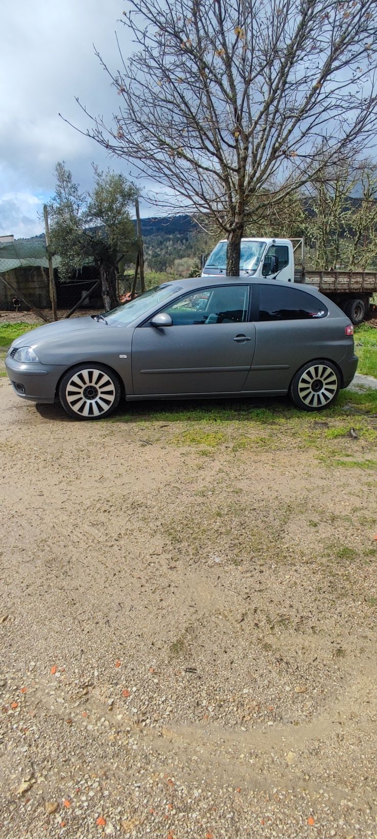 Seat Ibiza 6L PD100