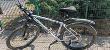 Rower Romet Mustang M7