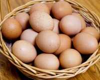 Домашние куриные яйца. Яйца кур