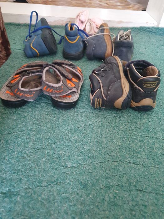 Віддам безкоштовно