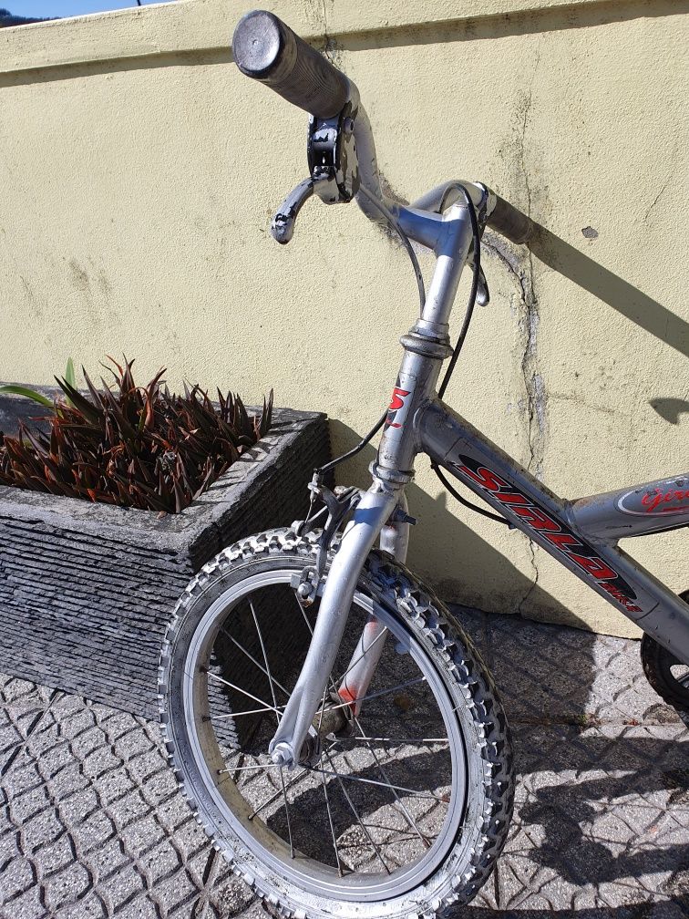 Bicicleta Criança