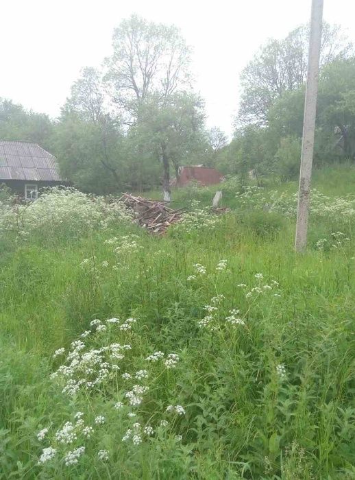 продам земельну ділянку в селі Річка