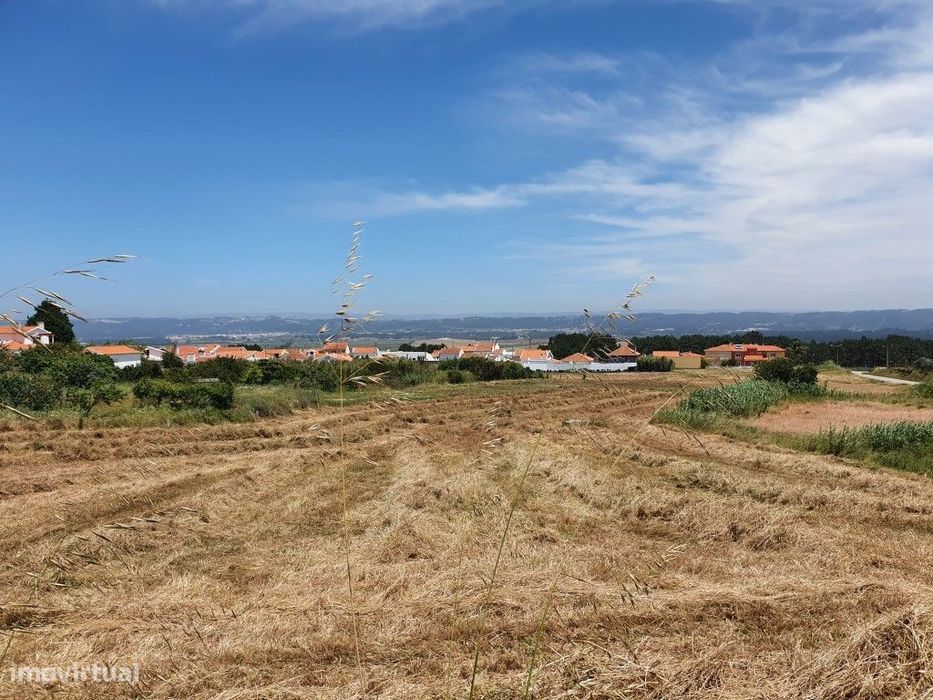Terreno em Salir do Porto para construção