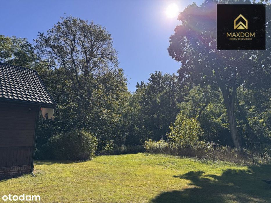 Urokliwa działka budowlana wśród lasu blisko rzeki