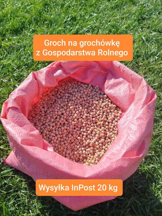Groch dla ryb, dla gołębi pasza dla zwierząt 20 Kg wysyłka