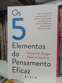 Os Cinco Elementos do Pensamento Eficaz