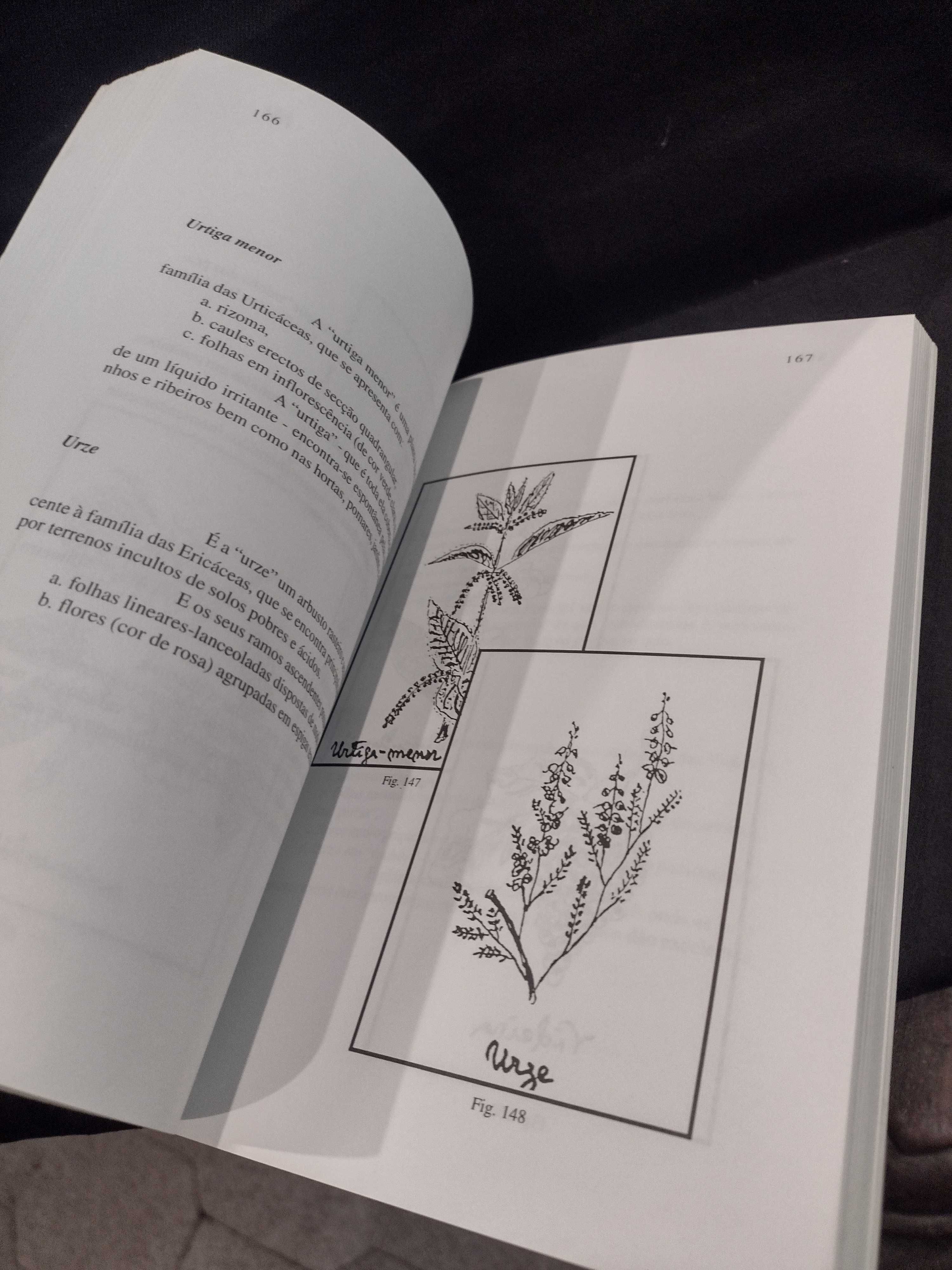 Plantas medicinais do Ribatejo - Luís António Vaz Tecedeiro (médico)