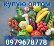 Продаю оптом. Овощи. Помидоры. Огурцы. Кабачки.