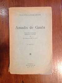 Amadis de Gaula (versão de Rodrigues Lapa)