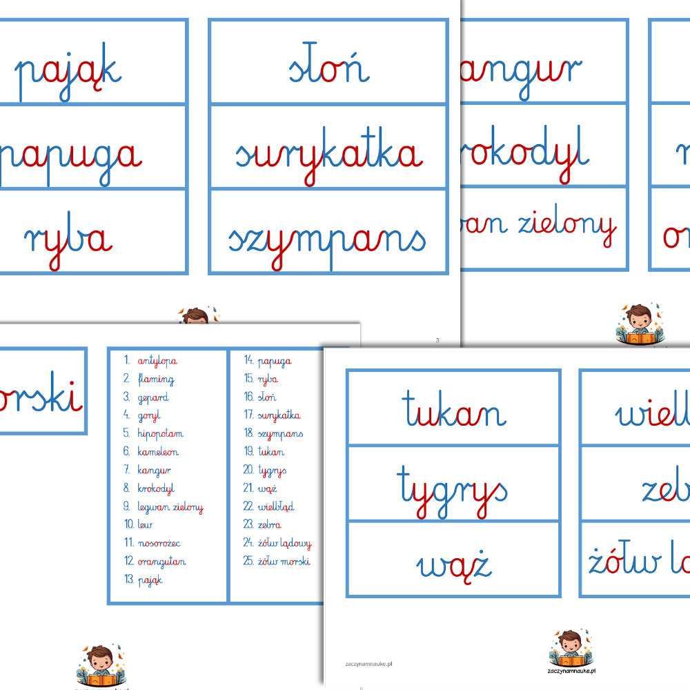 Karty Obrazkowe Zwierzęta w ZOO Plansze Edukacyjne Montessori DO DRUKU