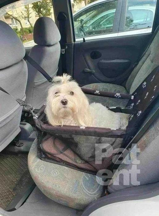 Transporter samochodowy do zwierząt psa kota fotelik do auta