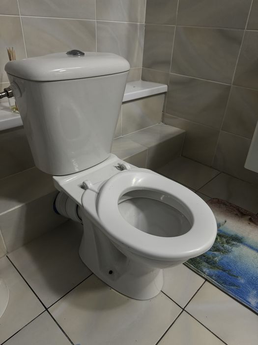 Дитячий унітаз Colombo Bembi