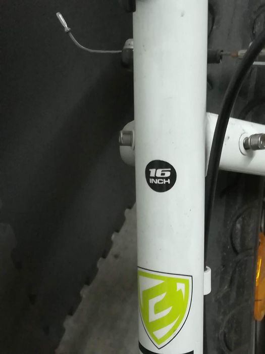 Bicicleta Berg - Senhora