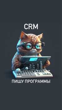 crm и любые программы программист