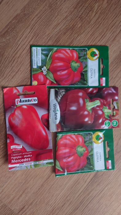papryka czerwona nasiona Oleńka mercedes dumas