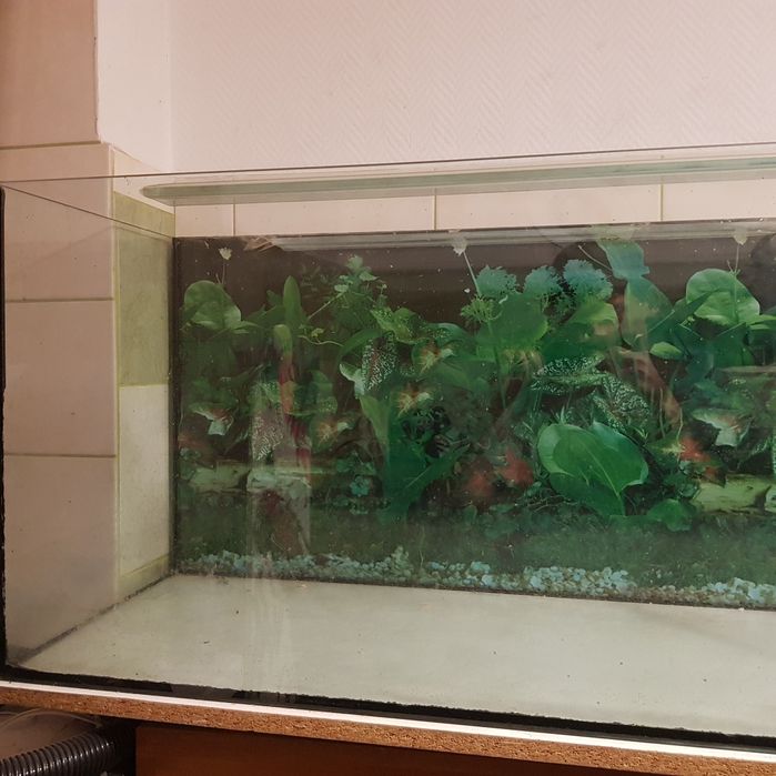 Akwarium 200l używane