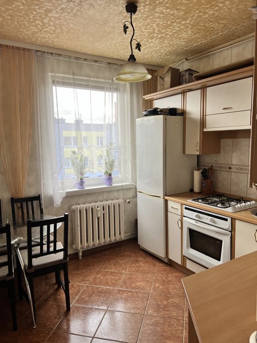 Wynajmę mieszkanie w centrum