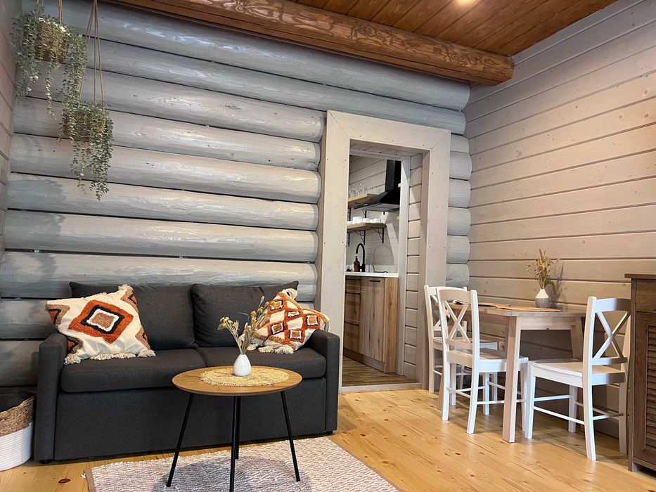 СУЧАСНИЙ БУДИНОК, відпочинок В КАРПАТАХ біля річки та лісу, зал 30м2