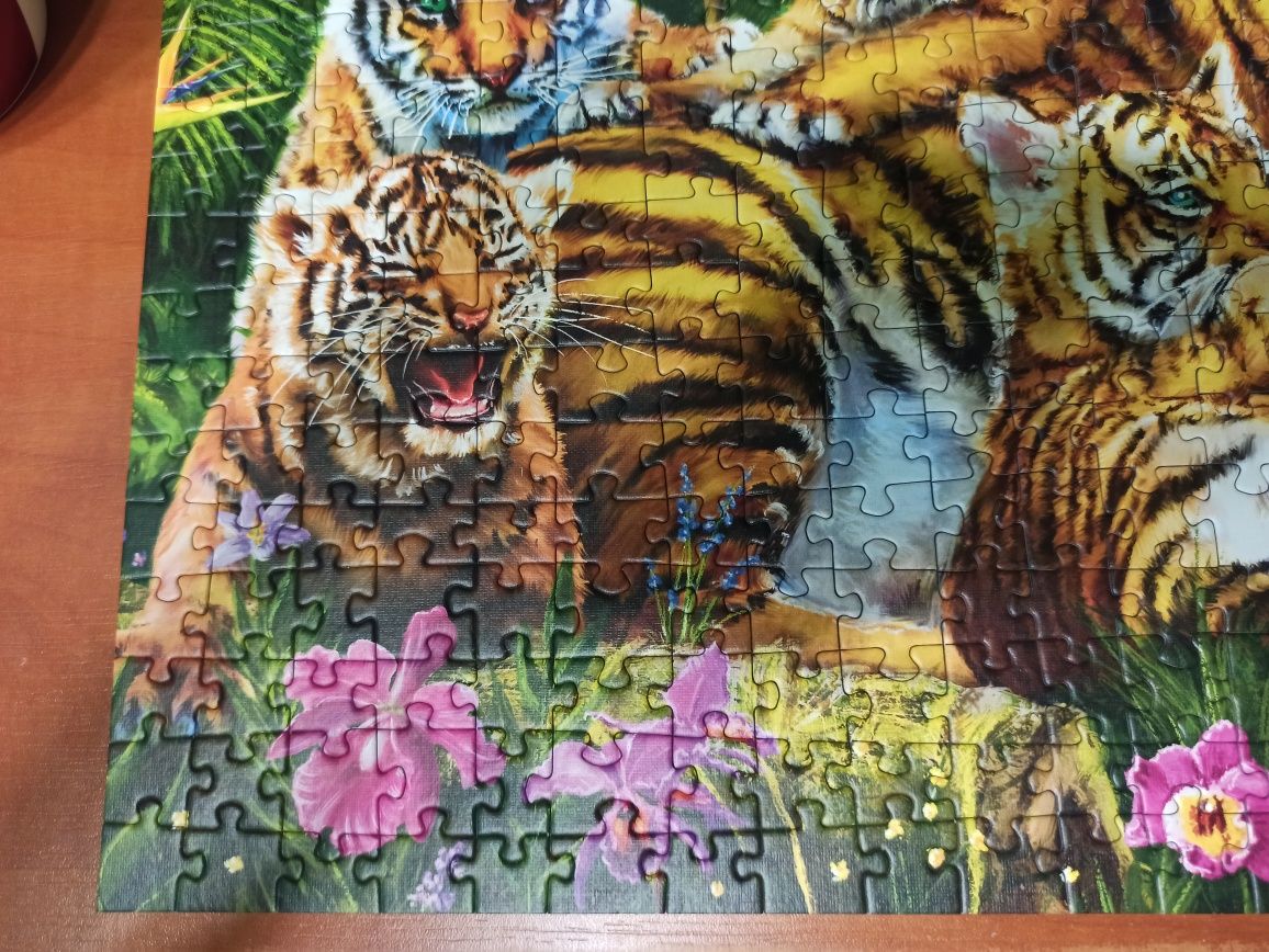 Puzzle Trefl rodzina tygrysów, puzzle 500 elementów