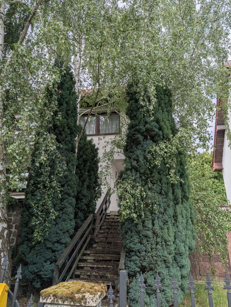 Dom na sprzedaż w Zdrojach